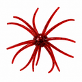 SpineBall 20mm Elastomer Urchin Bait - PRE-ORDER