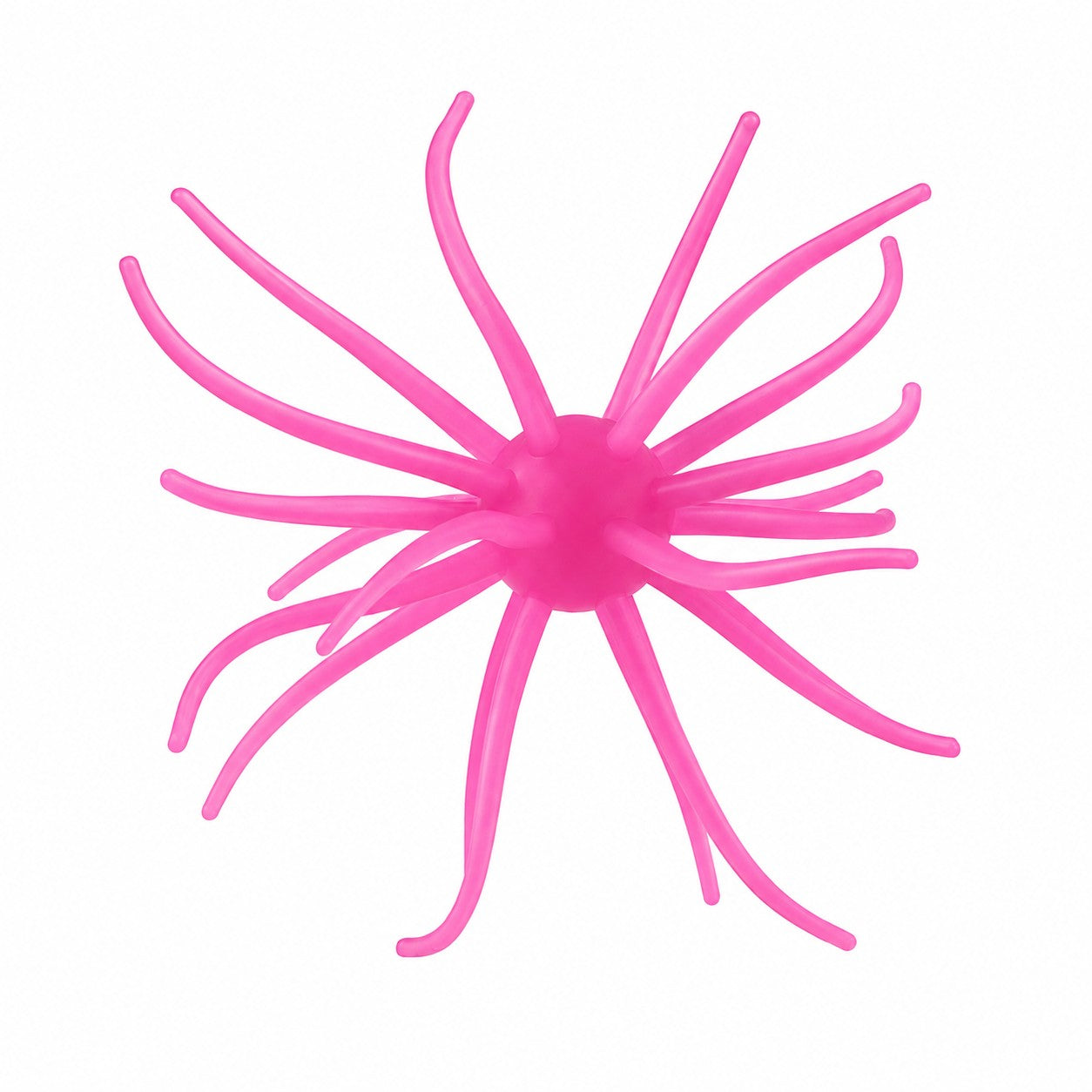 SpineBall 20mm Elastomer Urchin Bait