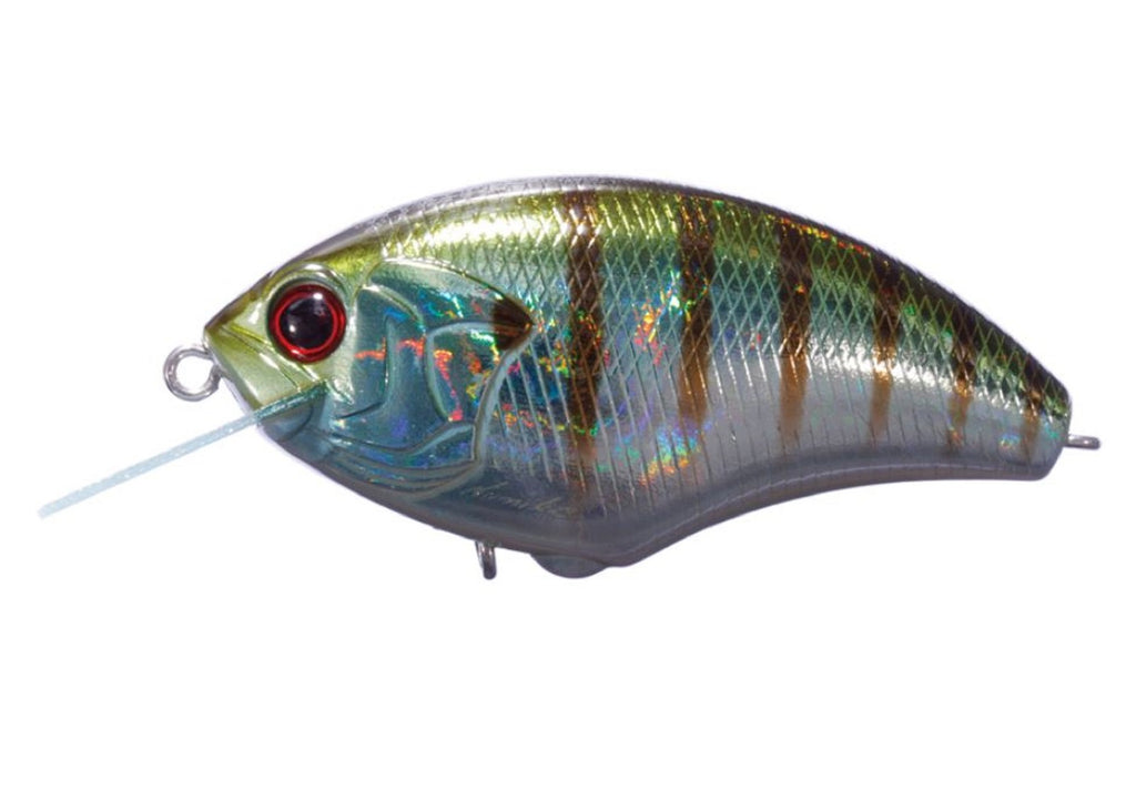 OSP Rattlin Blitz Max